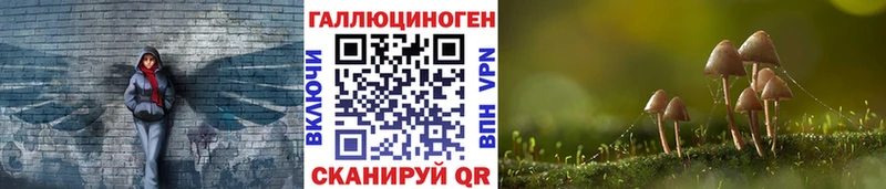 закладки  Нелидово  kraken вход  Псилоцибиновые грибы Psilocybine cubensis 